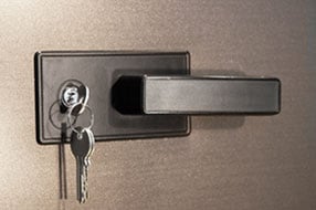 Секционные ворота Alutech Prestige Секционные ворота Alutech Prestige
